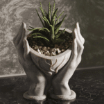 Кашпа сърце