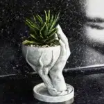 Кашпа – дар, стилна градинска кашпа, декоративен съд за растения