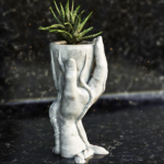 ашпа Дар - декоративен контейнер за растения с дизайн, вдъхновен от концепцията за дар, добавящ елегантност и символика